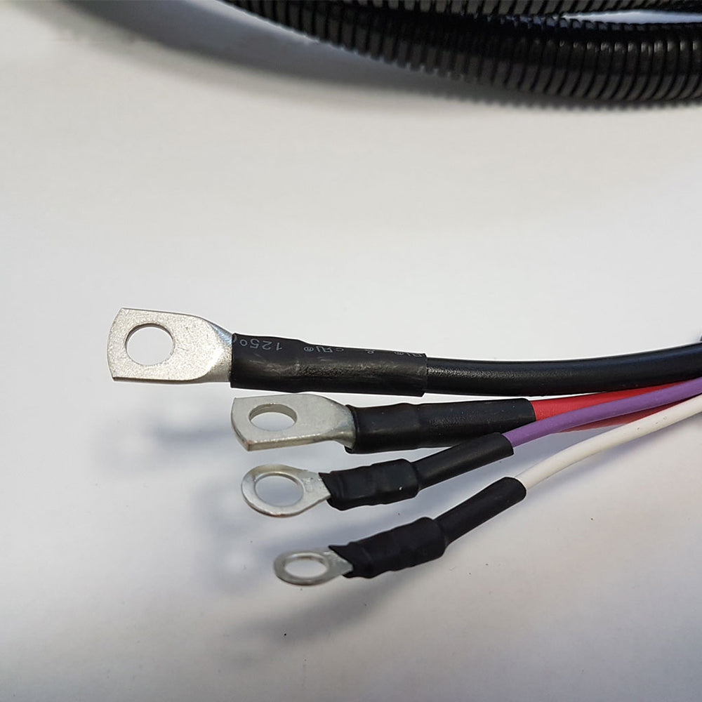 TESA AutoLift Verkabelung und Systemkomponenten